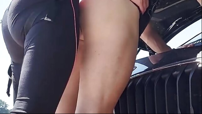 compilation Pegging 2 di bareback shemale porn hd videos anal shemale porn